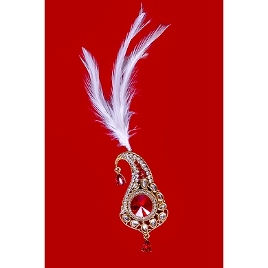 S H A H I T A J Traditional Golden with Red Stone Brooch or Kalangi with Feather for Barati/Groom/Social Occasions Pagdi Safa or Turban (OS829)-ST949