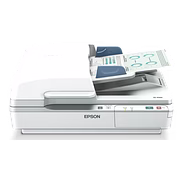 Epson DS-6500