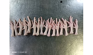 Frozen Chicken Feet for Export