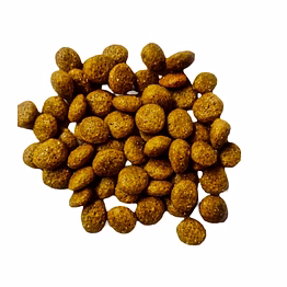 dog food kibbles