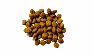 Dog food Kibbles