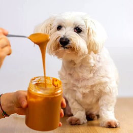 pet friendly peanut butter
