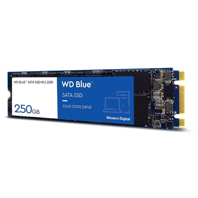 WD SSD Internal M.2 250gb P3473-1