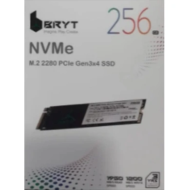 BRYT-ISSD 256GB NVMe P10168-P10168