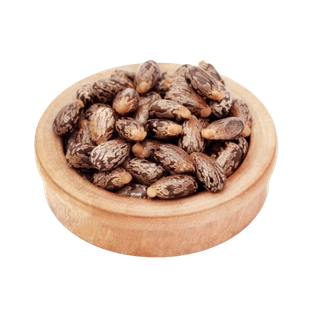 Castor Seeds