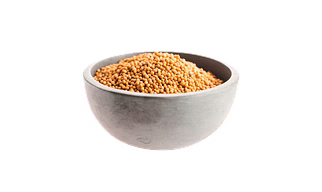 Yellow Mustard Seeds