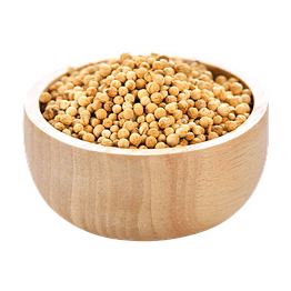 coriander seeds