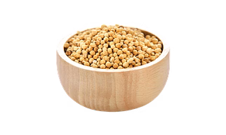 Coriander seeds