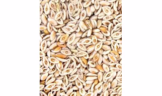 Psyllium Husk