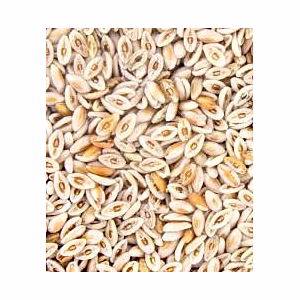 Psyllium Husk
