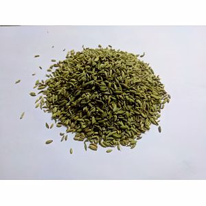 Fennel Seeds