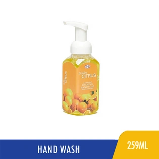 Cleene Antibacterial Foaming Hand Soap Citrus 259ml