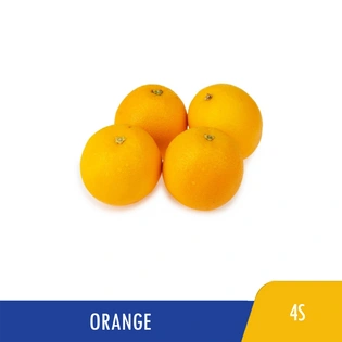 Mother's Choice Orange Valencia 113-138 4s