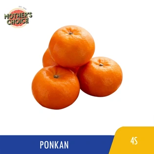 Mother's Choice Ponkan #84-100 4s