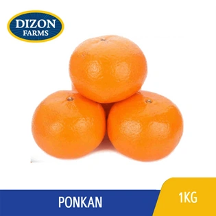 Dizon Farms Ponkan China 60 E-Pack 1kg