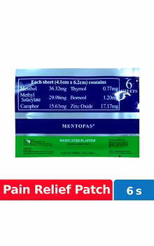 Mentopas Medicated Plaster 6s