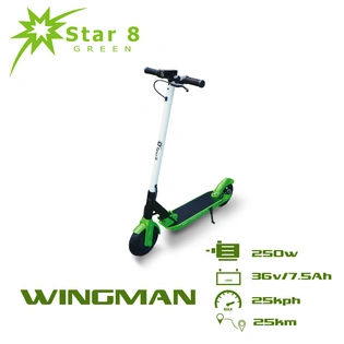 Wingman E-Scooter