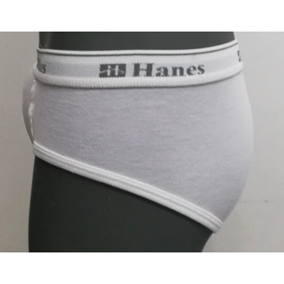Hanes 3 In 1 Hipster Brief