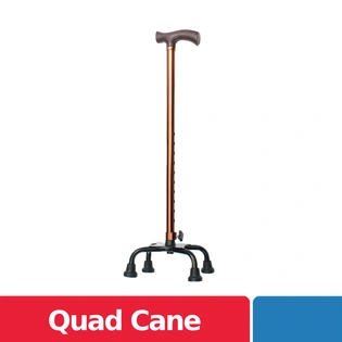 Quad Cane