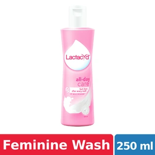 Lactacyd Cleansing Feminine Wash All Day Care 250ml