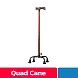 Quad Cane-11082390-sm