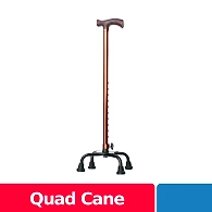 Quad Cane