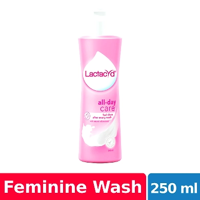 Lactacyd Cleansing Feminine Wash All Day Care 250ml-11610227