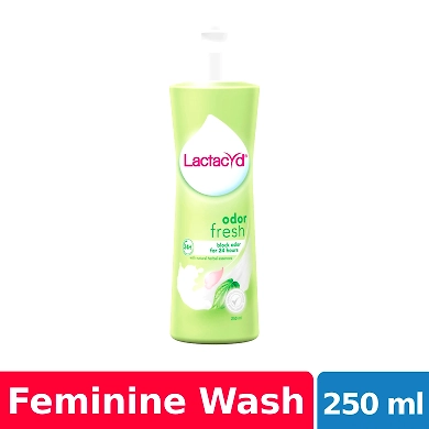 Lactacyd Feminine Wash Odor Fresh 250ml-11459865