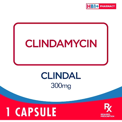 Clindal 300mg Capsule-11079959