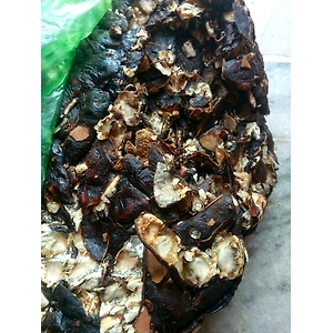 Tamarind