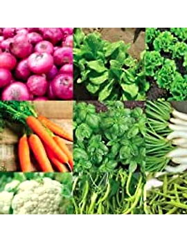 Vegetable-6361516-sm