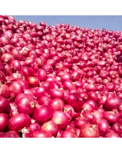 ONION-2