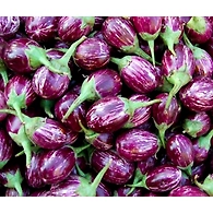 Brinjal