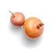https://cdn.pixabay.com/photo/2013/02/21/19/14/onion-bulbs-84722_1280.jpg-sm