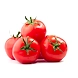 Fresh Tomato-sku-greenveggies-Tomato-2-sm