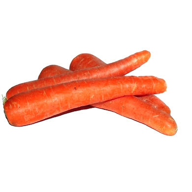 Fresh Carrot-sku-rootveggies-carrot-2