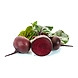 Fresh Beet Root-sku-rootveggies-Beetroot-1-sm
