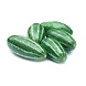 Fresh Parwal-sku-greenveggies-Parwal-4-sm