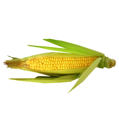 https://cdn.pixabay.com/photo/2019/12/11/03/44/corn-4687358_1280.png