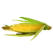https://cdn.pixabay.com/photo/2019/12/11/03/44/corn-4687358_1280.png-sm