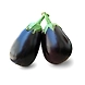 https://images.freeimages.com/images/large-previews/ba8/eggplant-1328603.jpg-sm