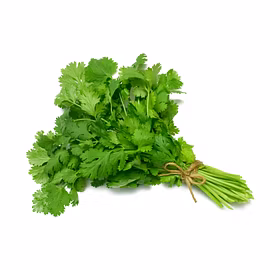 Fresh Dhania (Coriander), 1 Bunch