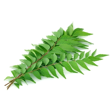 https://i.postimg.cc/9Q9vBg8R/Adobe-Stock-188553012.jpg