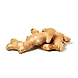 Fresh Ginger, 100g-sku-Herbs-Ginger-sm