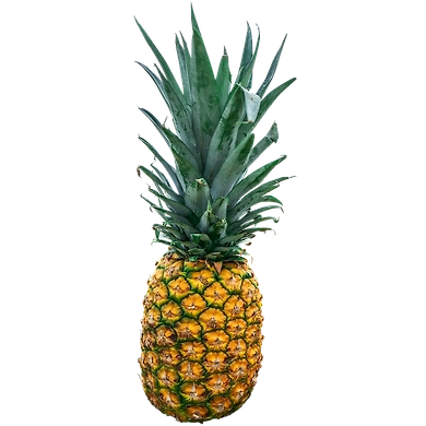 Fresh Pineapple, 1 Pc-sku-Fruits-Pineapple