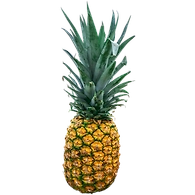Fresh Pineapple, 1 Pc