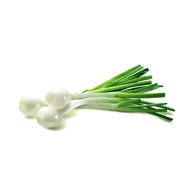 Fresh Spring Onion, 100 g-Herbs-Springonion