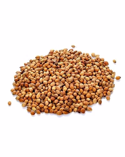 Coriander-6315990