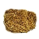 Cordyceps Militaris-1-sm