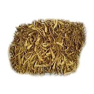 Cordyceps Militaris